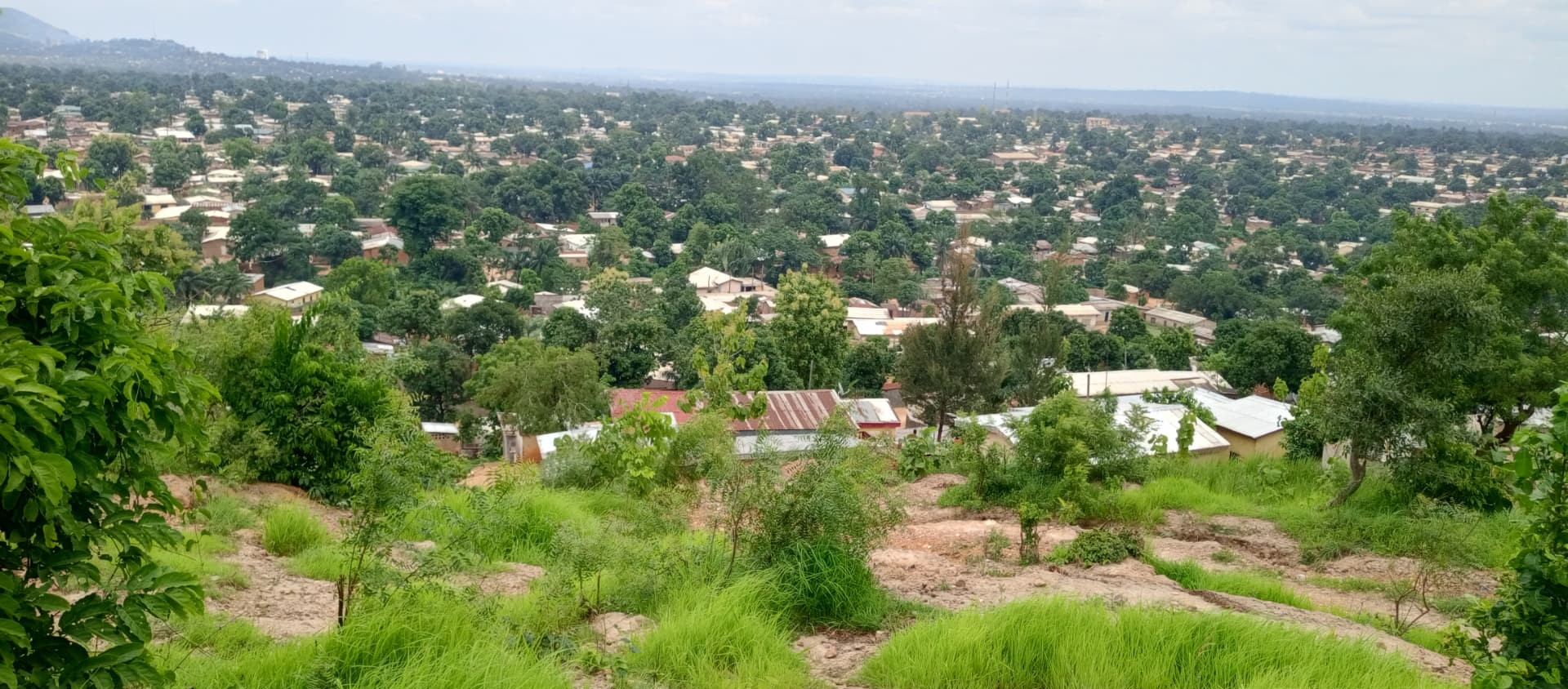 Vue panoramique sur les quartiers arborés de Bangui depuis une colline